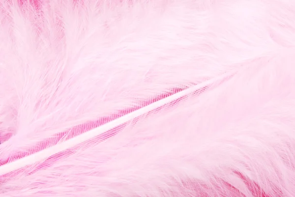 Feather plumage pink texture — Stock Photo, Image