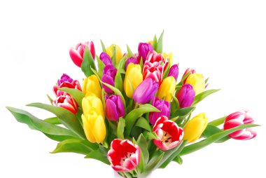 Lale buketi beyaz izole