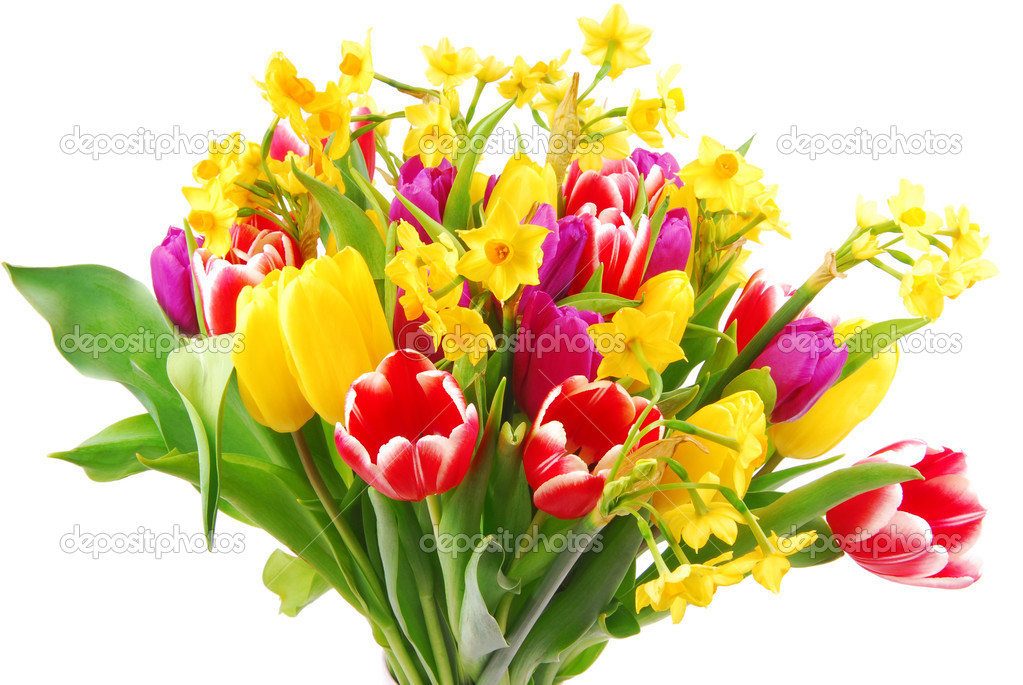 Tulip bouquet isolated on white