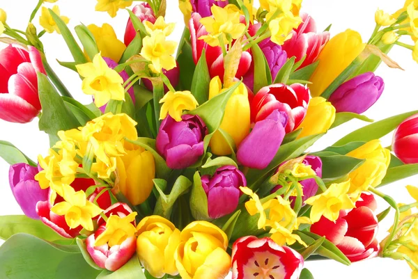 Bouquet de fleurs de tulipes et jonquilles — Photo