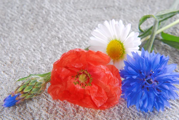 Flores de papoula e girassol em pano de linho — Fotografia de Stock