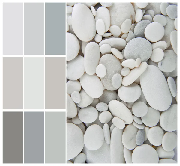 Pebble color palette swatches with complimentary — Stock Photo, Image