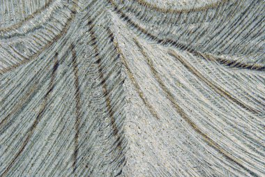 Nakışlı çiçek tasarımı gümüş gri renkli makro arka plan