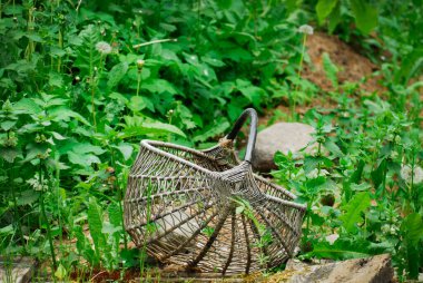 Ormanda el yapımı mantar hasır sepetine yakın çekim