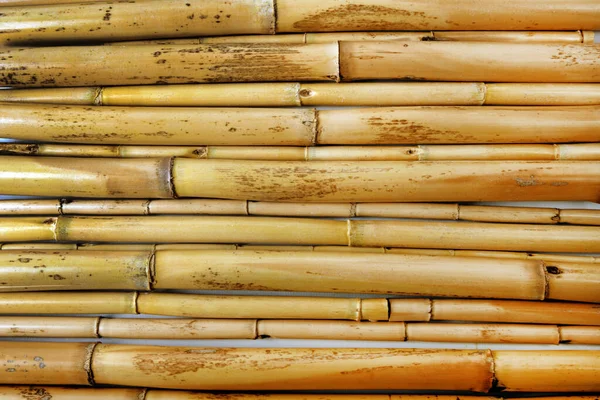 Close Natural Bamboo Texture Background — Stockfoto