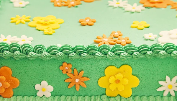 Green Field Cake — Stock Photo, Image