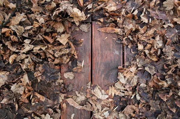 Resumen Hojas Otoño Caídas Suelo Baldosas Madera Con Espacio Vacío —  Fotos de Stock