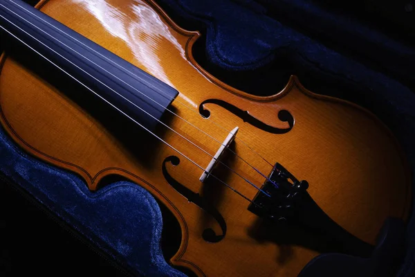 Vue Rapprochée Sur Petit Violon Une Demi Mesure Vue Sur — Photo