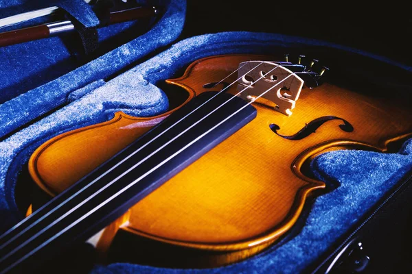 Closeup View Small Violin One Half Size View Details — Stock Photo, Image