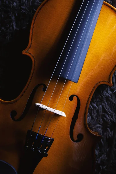 Vue Rapprochée Sur Petit Violon Une Demi Mesure Vue Sur — Photo