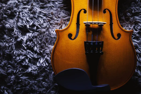 Vue Rapprochée Sur Petit Violon Une Demi Mesure Vue Sur — Photo