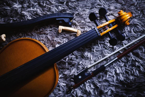 Closeup View Small Violin One Half Size View Details — Stock Photo, Image