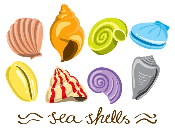 Conjunto de conchas de mar de colores — Archivo Imágenes Vectoriales