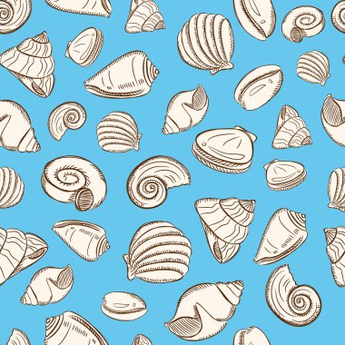 Deniz kabukları arka plan
