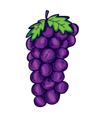 Beyaz arka plan üzerinde izole yarım yamalak üzüm