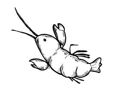 yarım yamalak karides