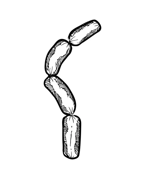 Pobieżne kiełbasa — Wektor stockowy