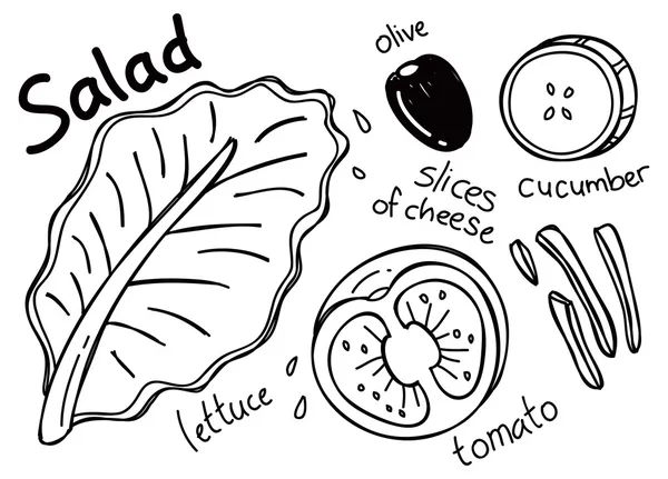 Salad Dressingストックベクター ロイヤリティフリーsalad Dressingイラスト Depositphotos Salad Dressingストックベクター ロイヤリティフリーsalad Dressingイラスト Depositphotos