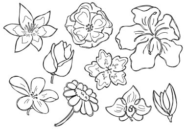 çiçek doodle kümesi