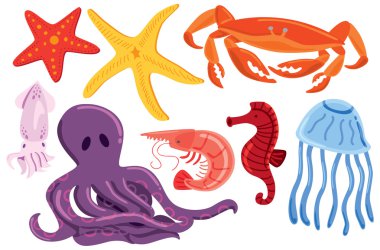 Bir dizi deniz hayvanı.
