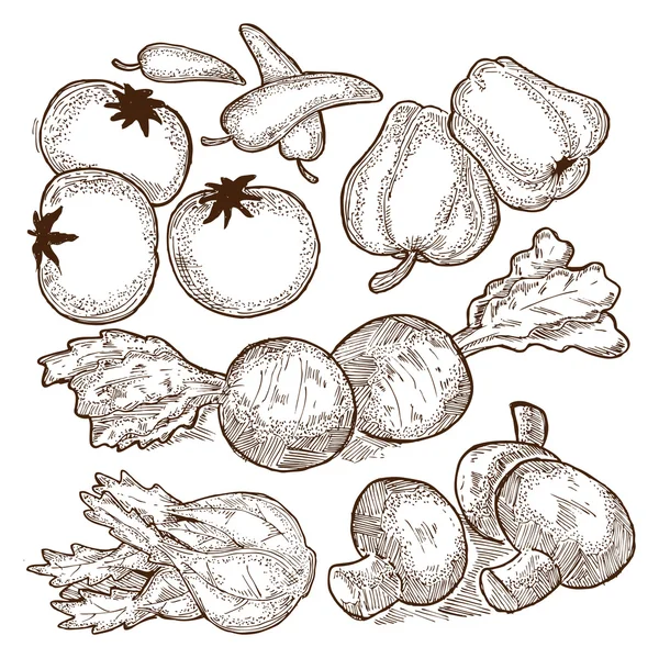 Sketchy rå grønnsaker – stockvektor