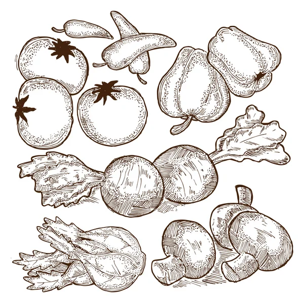 Sketchy raw vegetables — Wektor stockowy