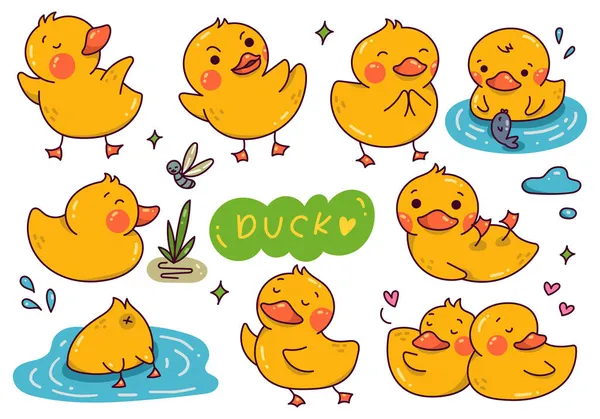 Conjunto Bonito Desenhos Animados Patos — Vetor de Stock