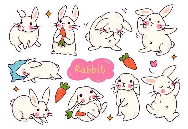 ウサギとウサギのかわいいウサギのセット ベクターイラスト — ストックベクタ