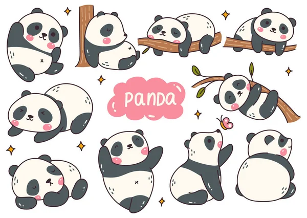 Słodkie Panda Niedźwiedź Wektor Ilustracja — Wektor stockowy