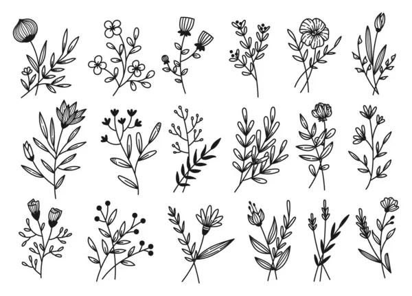 Set Fiori Disegnati Mano Elementi Floreali Botanico Primavera Fiore Erbe — Vettoriale Stock
