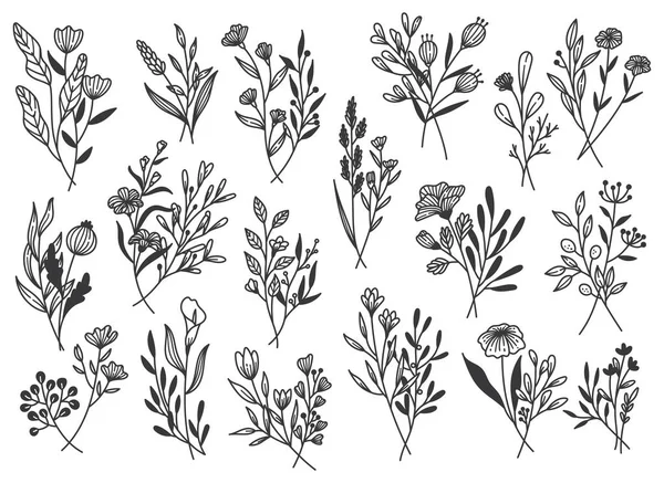 Květinové Čáry Art Doodle Sada Rostlin — Stockový vektor