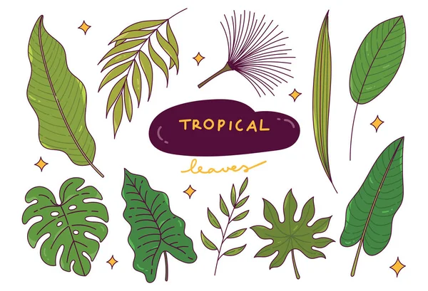 熱帯の葉のセットベクトル図 — ストックベクタ