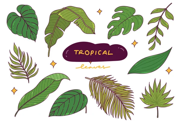 Trópusi Levelek Halmaza Vektorillusztráció — Stock Vector