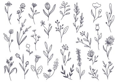 Elle çizilmiş çiçek karalama elementleri. vektör illüstrasyonu