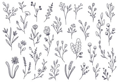 Elle çizilmiş çiçek karalama elementleri. vektör illüstrasyonu