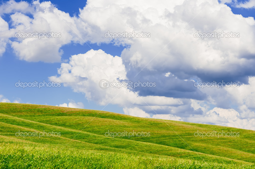 Hilly meadow background