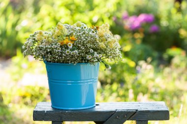 kır çiçekleri ile kova