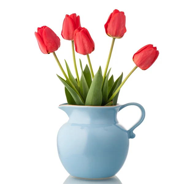 Tulipány v jar — Stock fotografie