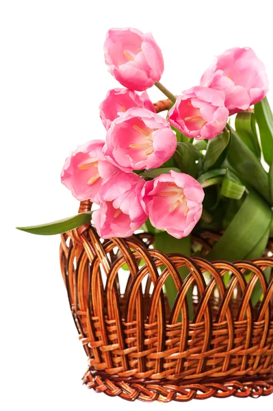Tulips bouquet isolated — Stock Photo, Image
