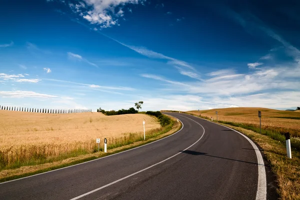 Road in Tuscany Royalty Free Stock Images