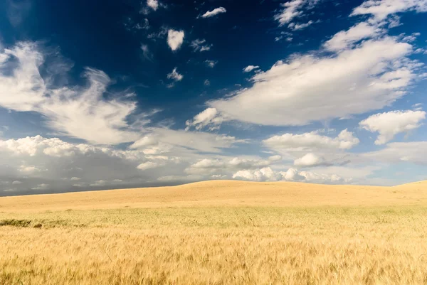 Toszkán táj, Olaszország. — Stock Fotó