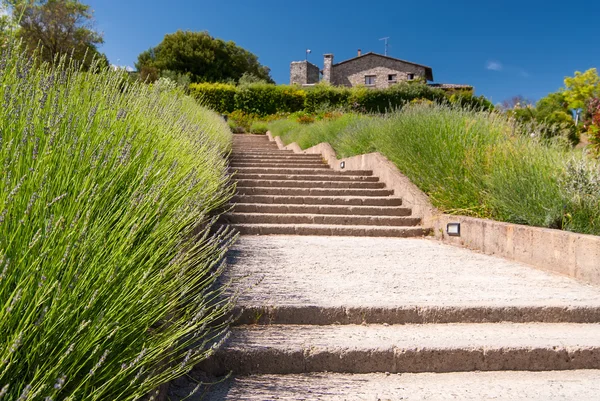 Escalier en Toscane — Photo