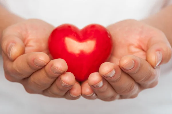 Heart in hands — Stock Photo, Image