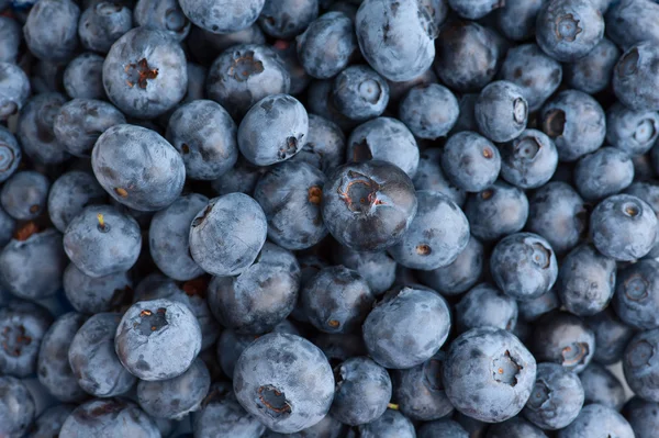 Blueberry texture background — Stock Photo, Image