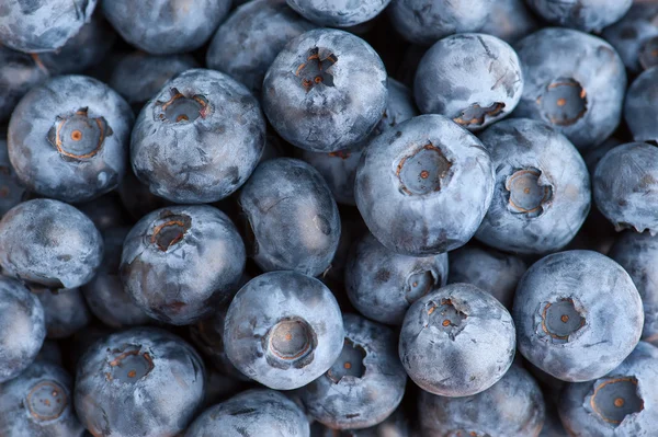 Blueberry texture background — Stock Photo, Image