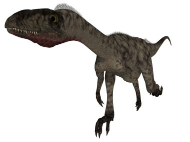 Coelophysis