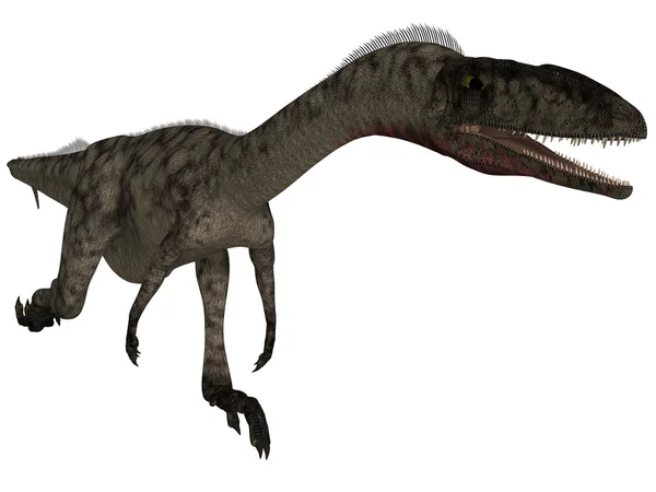 Coelophysis — стокове фото