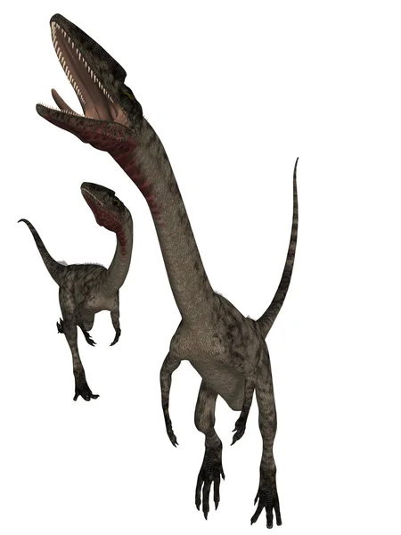 Coelophysis — 스톡 사진