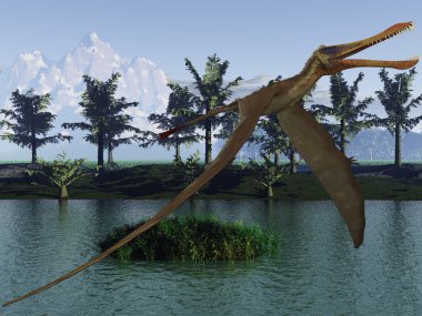 anhanguera - 3d dinazor