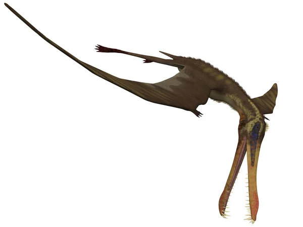 Anhanguera - Dinosaurio 3D — Foto de Stock